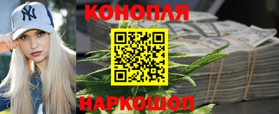 Альфа ПВП Пушкино