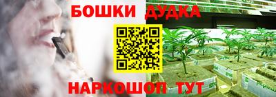 apvp Пугачёв