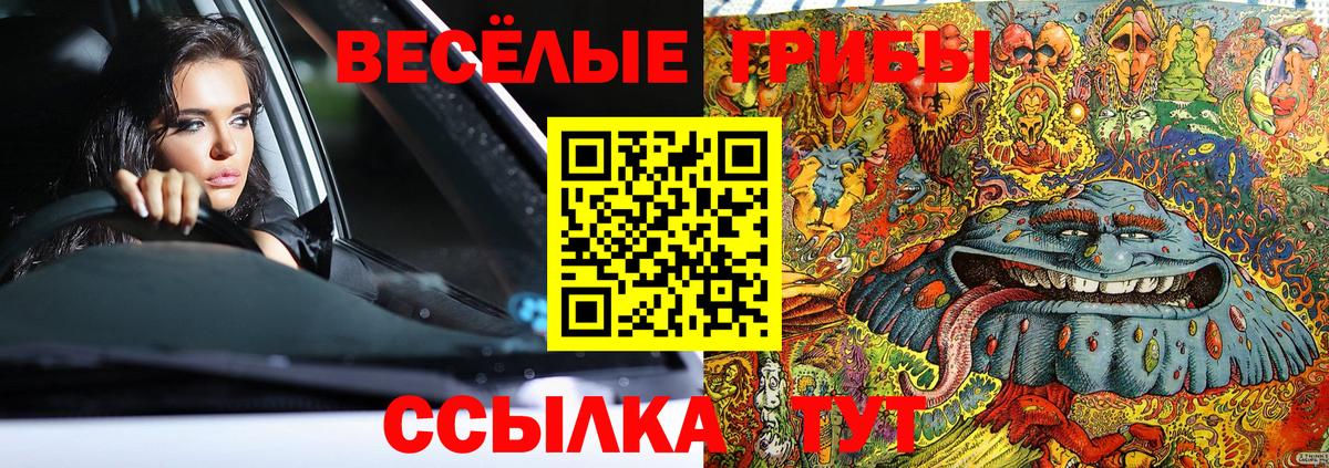 Псилоцибиновые грибы Psilocybine cubensis Сибай