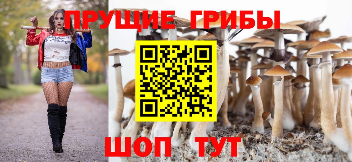 Псилоцибиновые грибы прущие грибы  Вход с VPN  Псилоцибиновые грибы Psilocybe  Сибай 